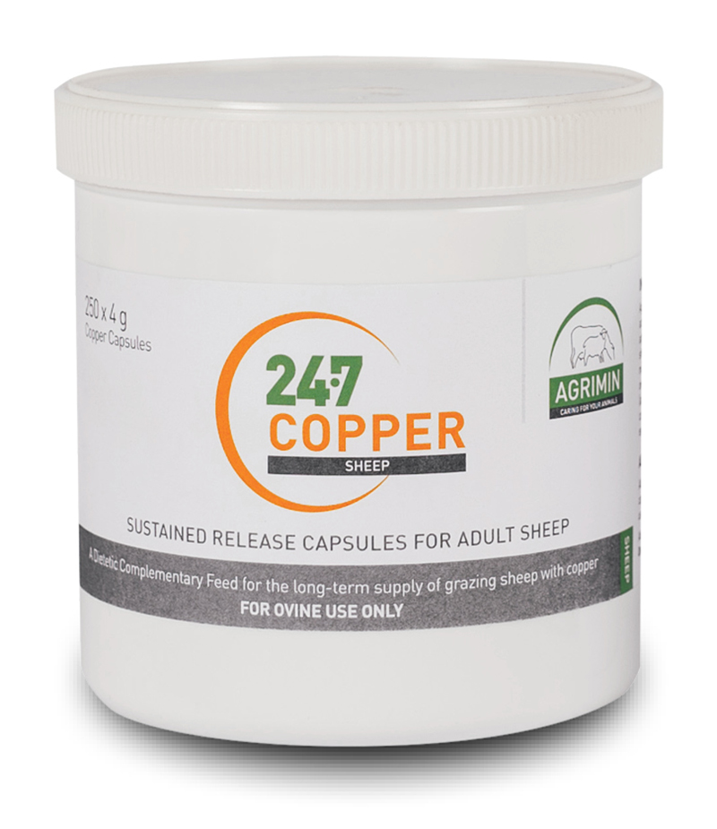 24·7 COPPER SHEEP Agrimin